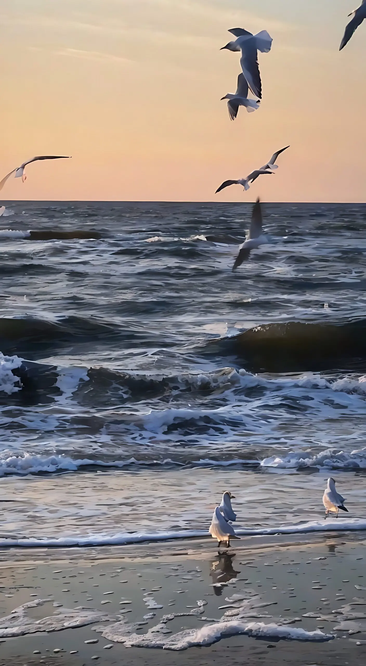 海边