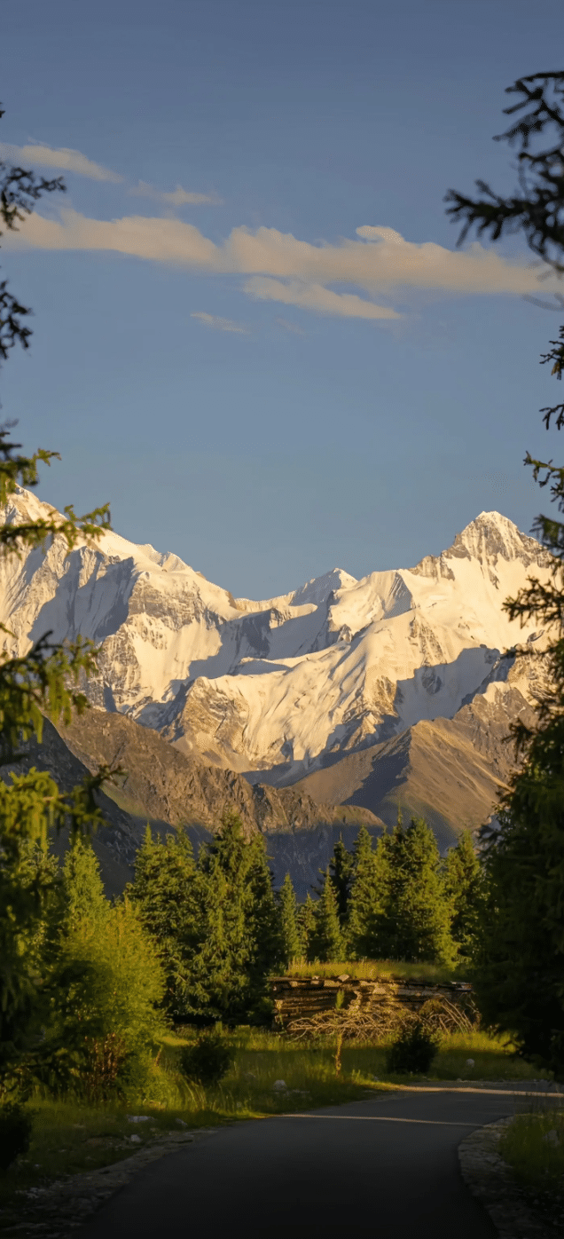 风景