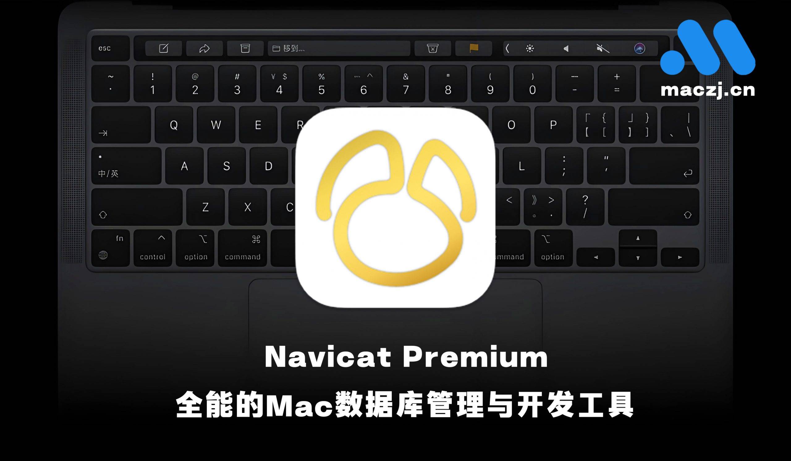 Navicat Premium For Mac v17.0.10 强大的数据库管理工具
